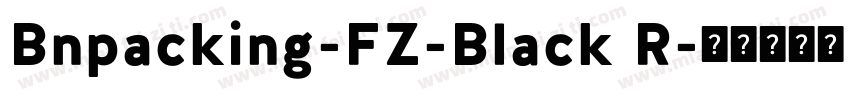 Bnpacking-FZ-Black R字体转换